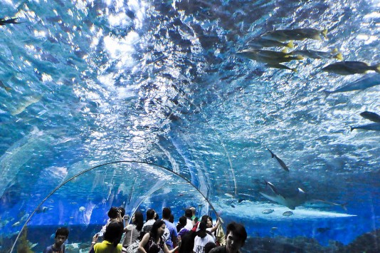 フィリピンの水族館マニラオーシャンパーク